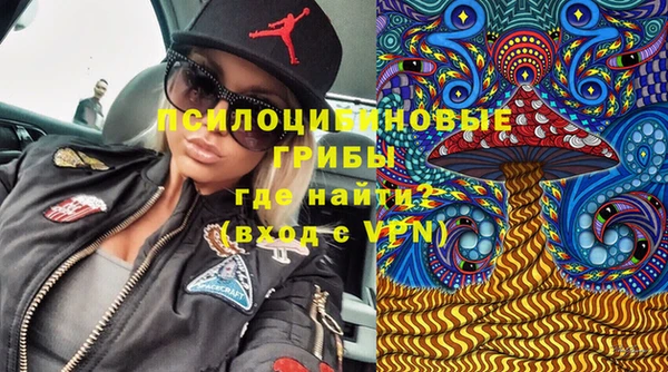 сатива Алзамай