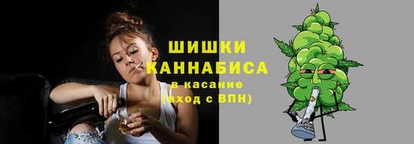 сатива Алзамай