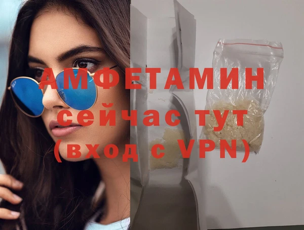 сатива Алзамай